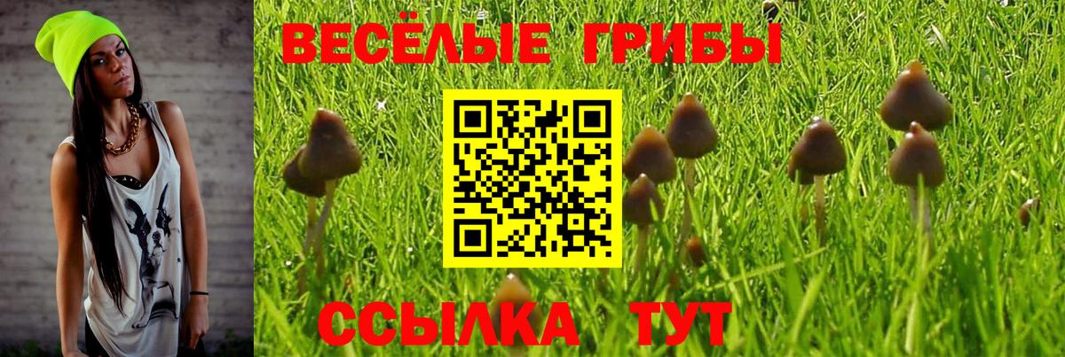 Кушва  Псилоцибиновые грибы Psilocybe  Вход с VPN 